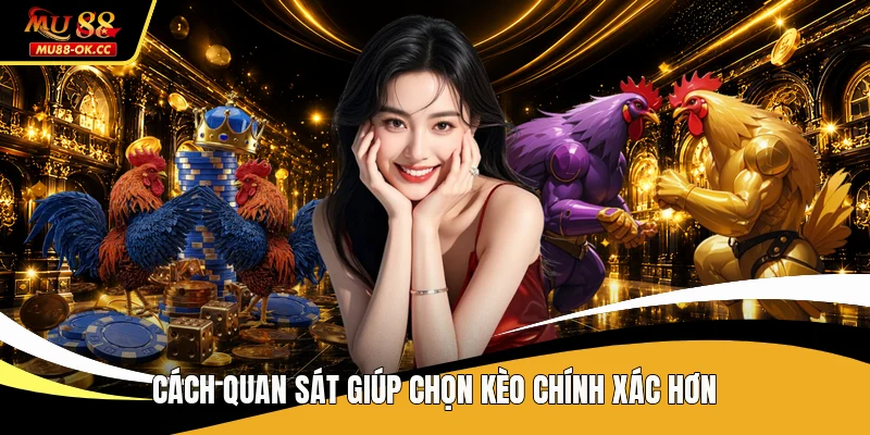 Cách quan sát giúp chọn kèo chính xác hơn