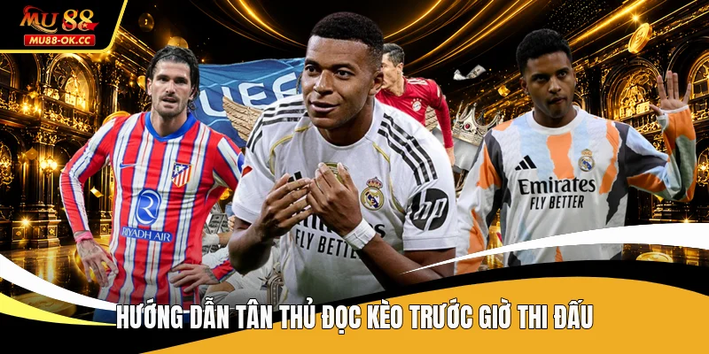 Hướng dẫn tân thủ đọc kèo trước giờ thi đấu