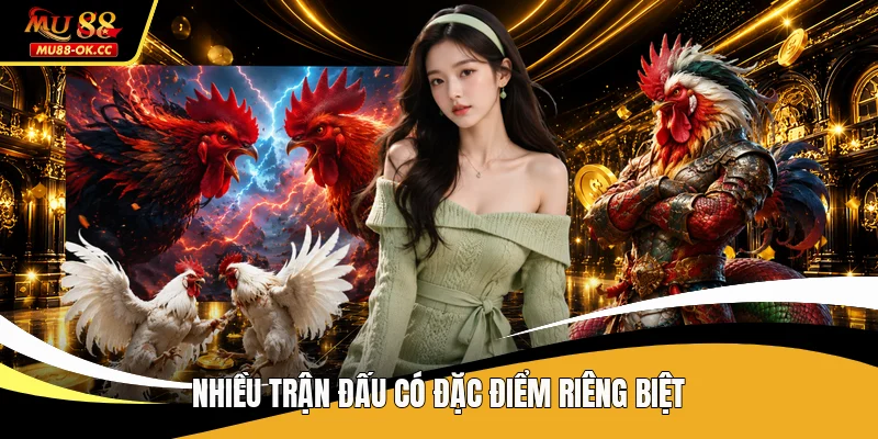 Nhiều trận đấu có đặc điểm riêng biệt
